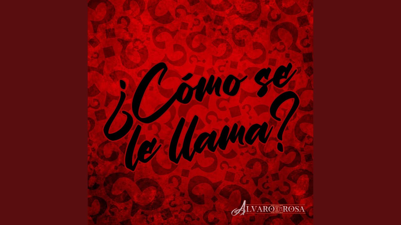 cómo se les llama a los