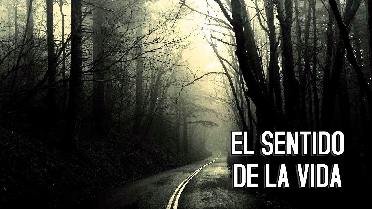 el sentido de la vida reflexion