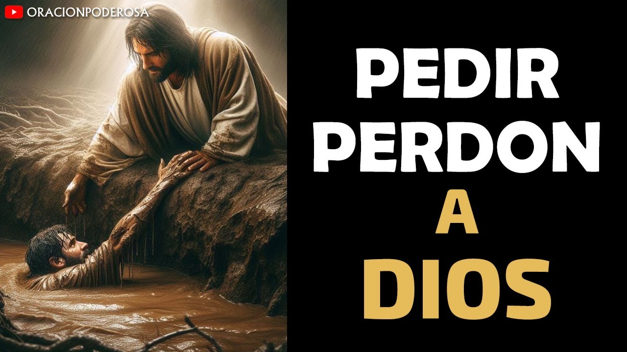 frases para pedir perdon a un amor