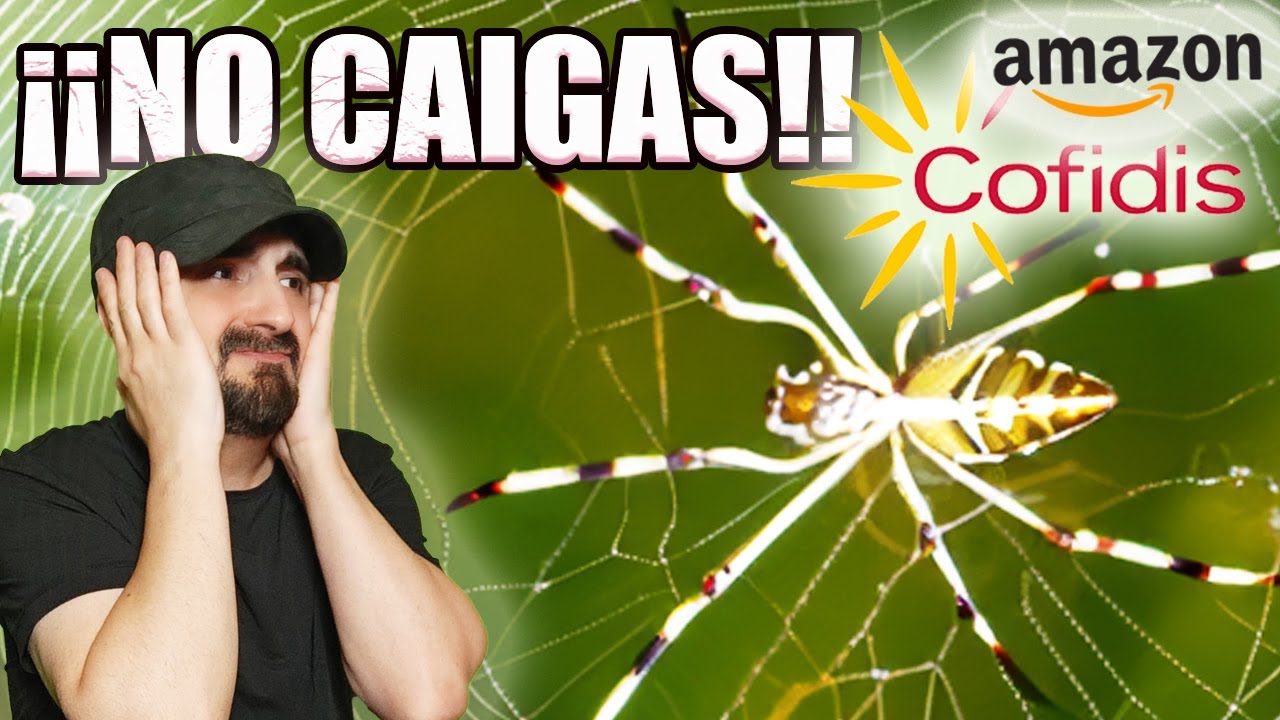 pague a plazos con cofidis pero no aparece