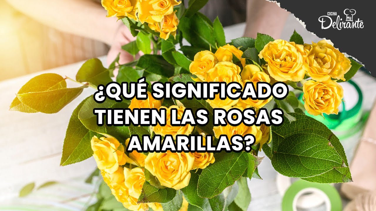 que significa que te regalen rosas amarillas