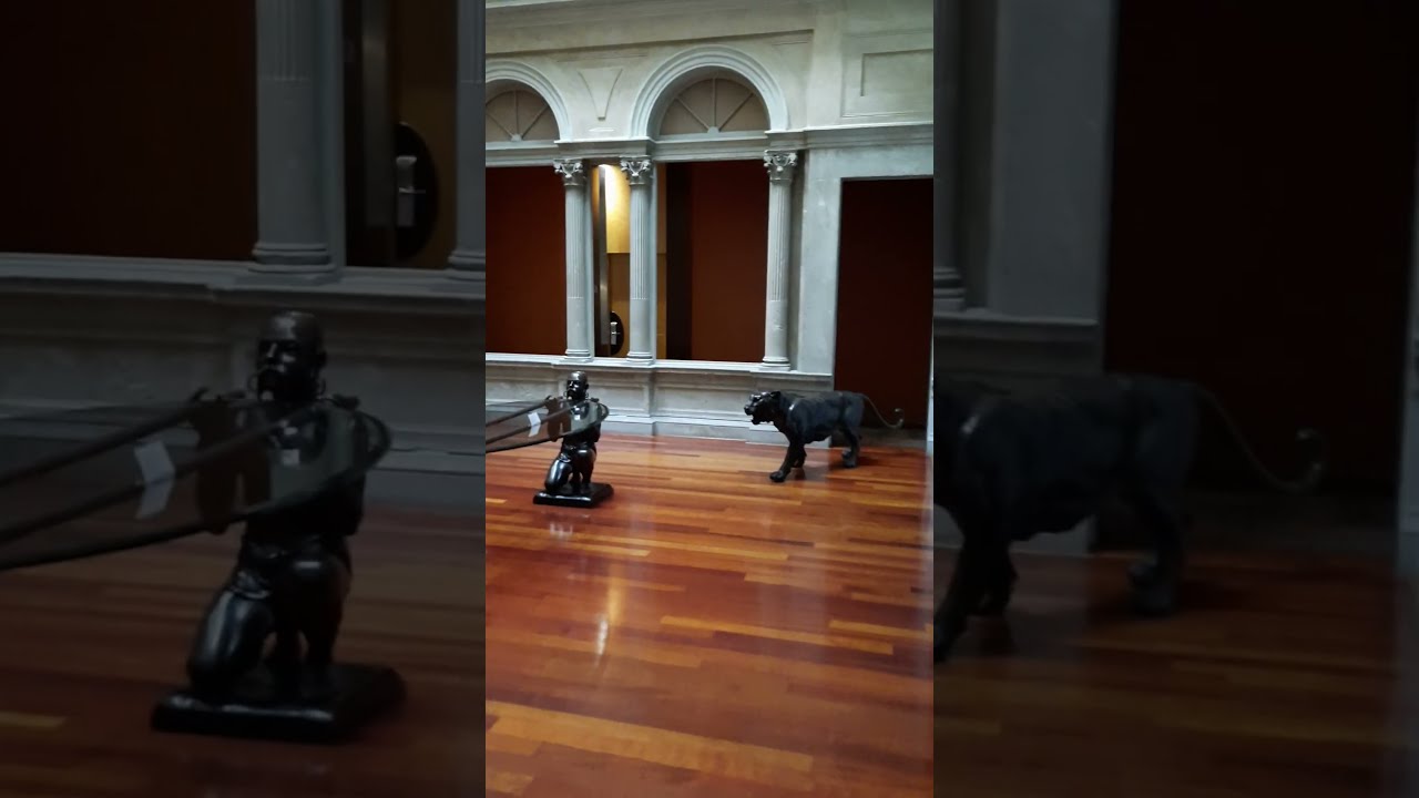 registro civil de barcelona plaça del duc de medinaceli barcelona