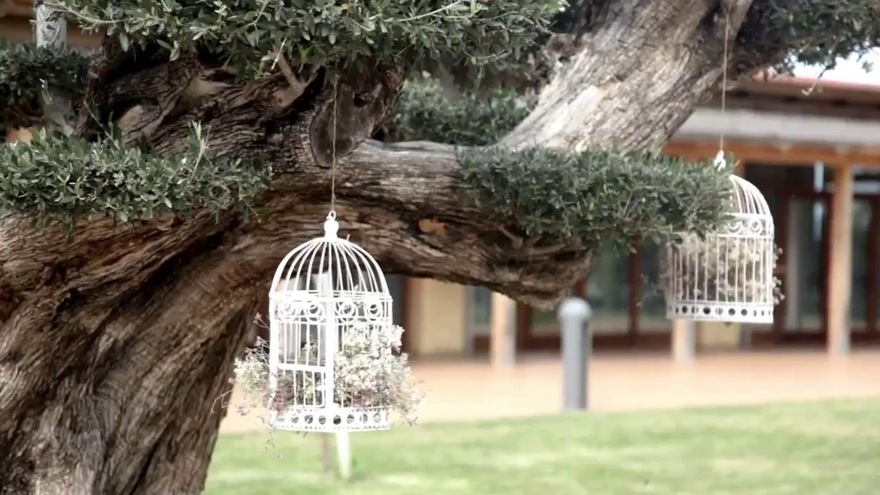 restaurante nou racó de la queixalada