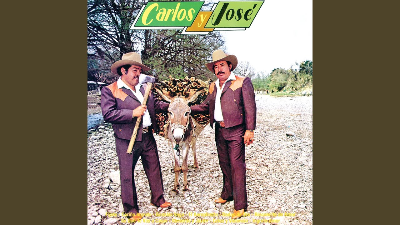 50 años de casados bodas de oro