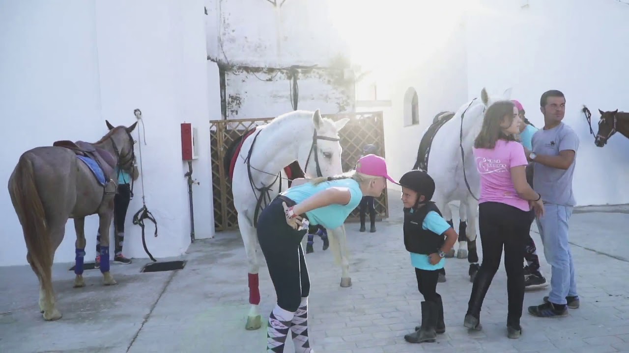 centro hipico el molino de fuego