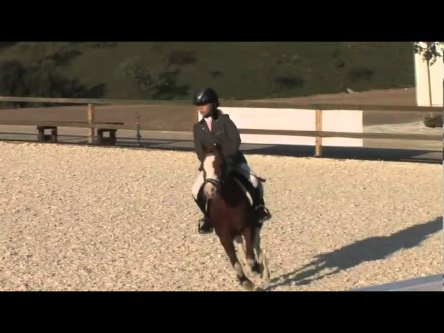 club hípico el pinar málaga camino de los almendrales málaga