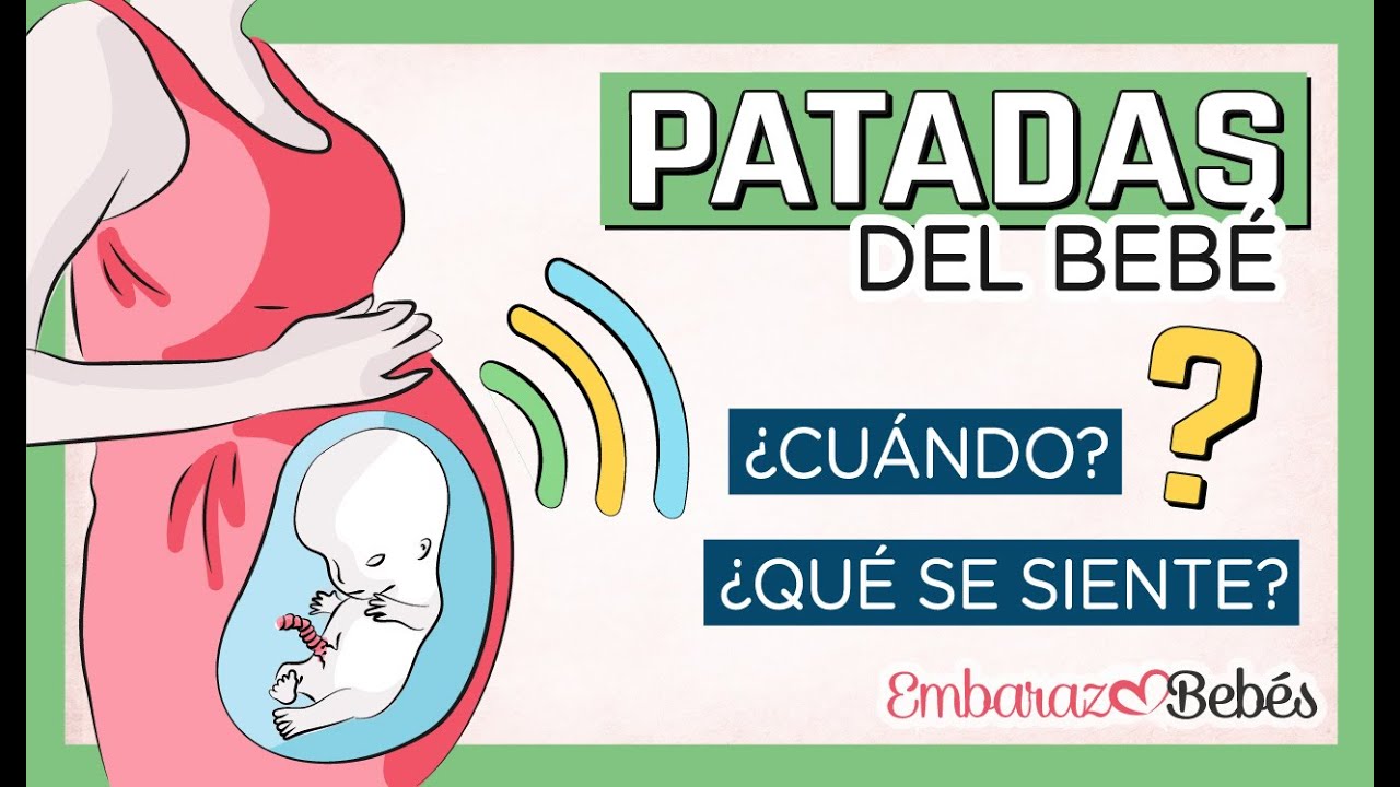 cuando empiezas a sentir al bebe