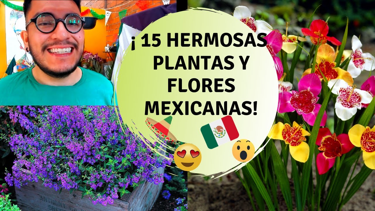 flores de mexico y sus nombres