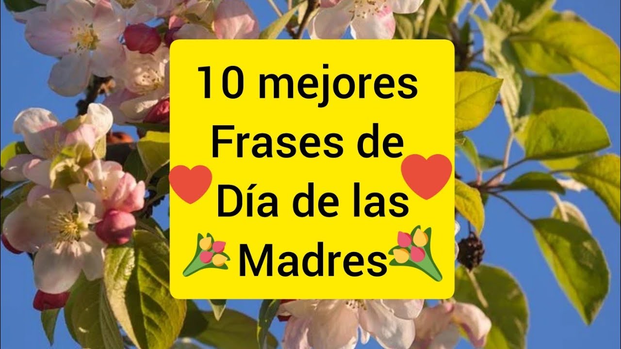 frase corta del dia de la madre