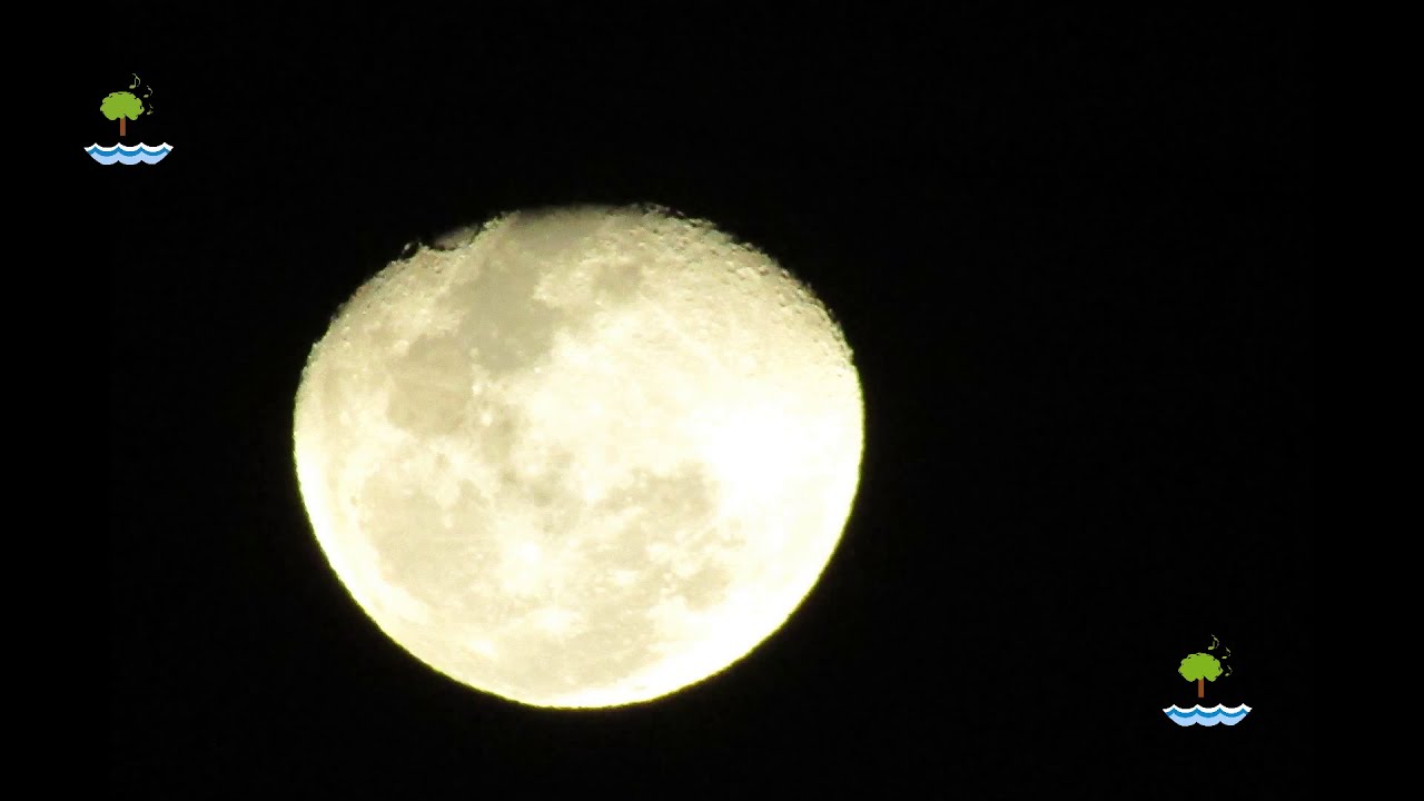 frases sobre la luna y el amor