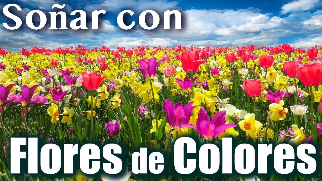 qué significa soñar con flores de diferentes colores