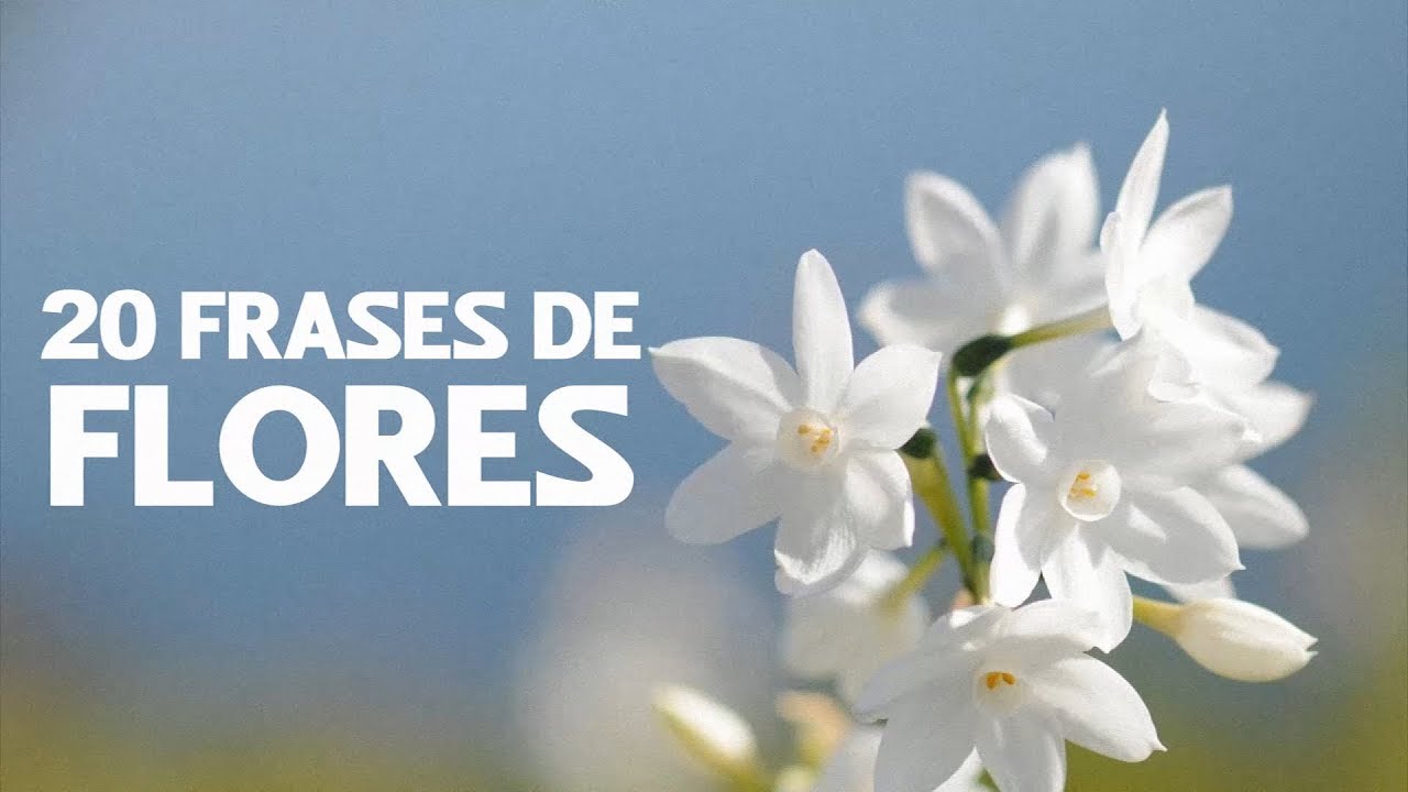 ramo de flores con frases de amor