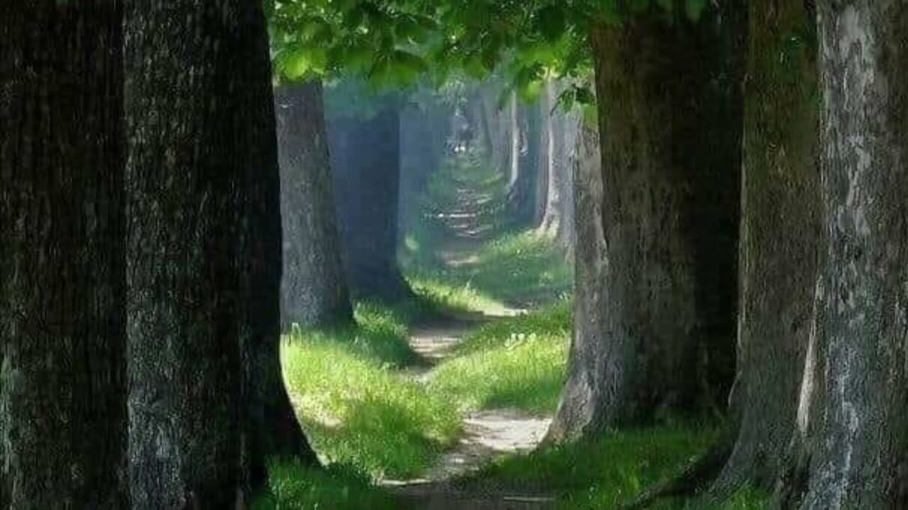 carta de agradecimiento a un familiar