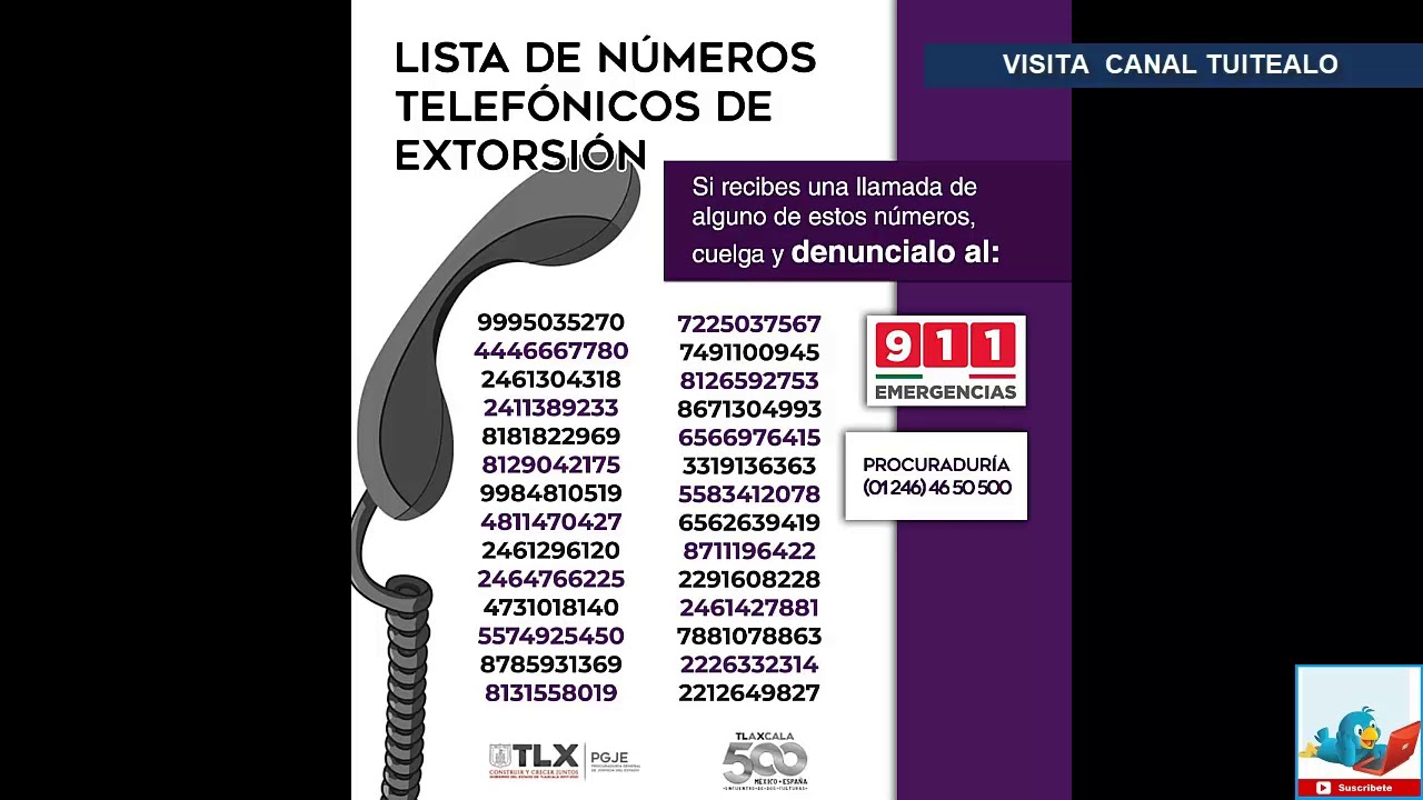 de donde es el area 333