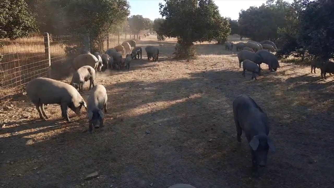 finca el encinar de la parra