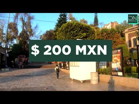 misas para bautizos en la basilica de guadalupe