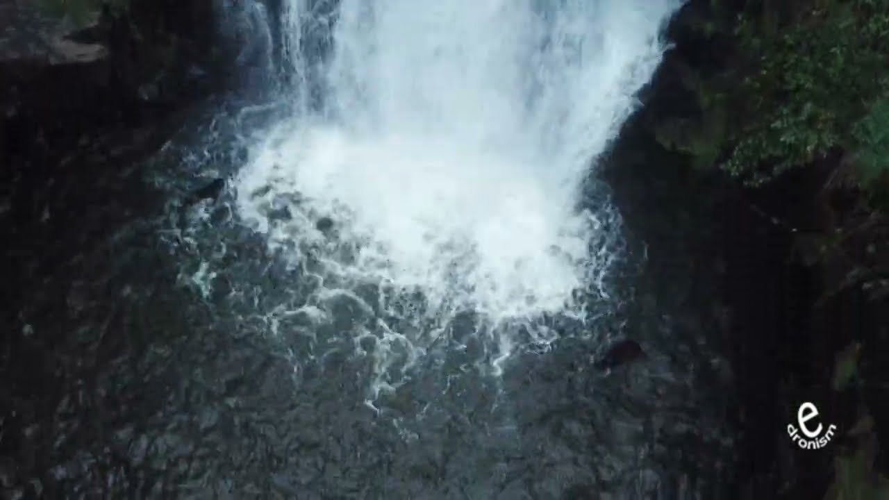 mision refugio del salto valle de bravo