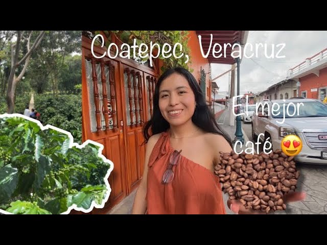 museo del cafe bola de oro