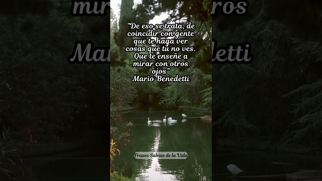 pensamientos bonitas frases de mario benedetti