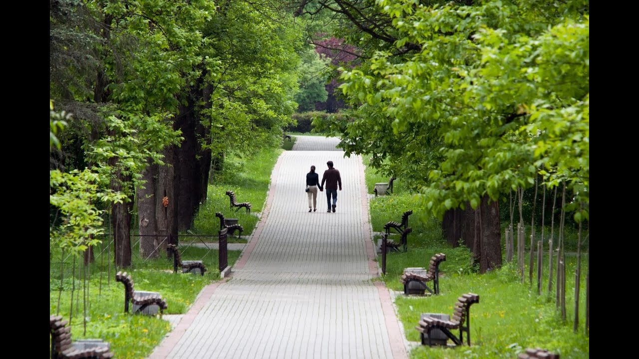 poema en vida hermano en vida de pablo neruda