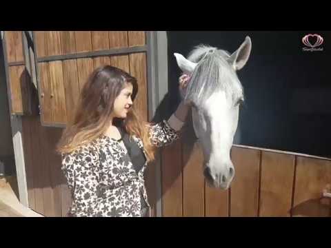 restaurante el patio santiago del teide