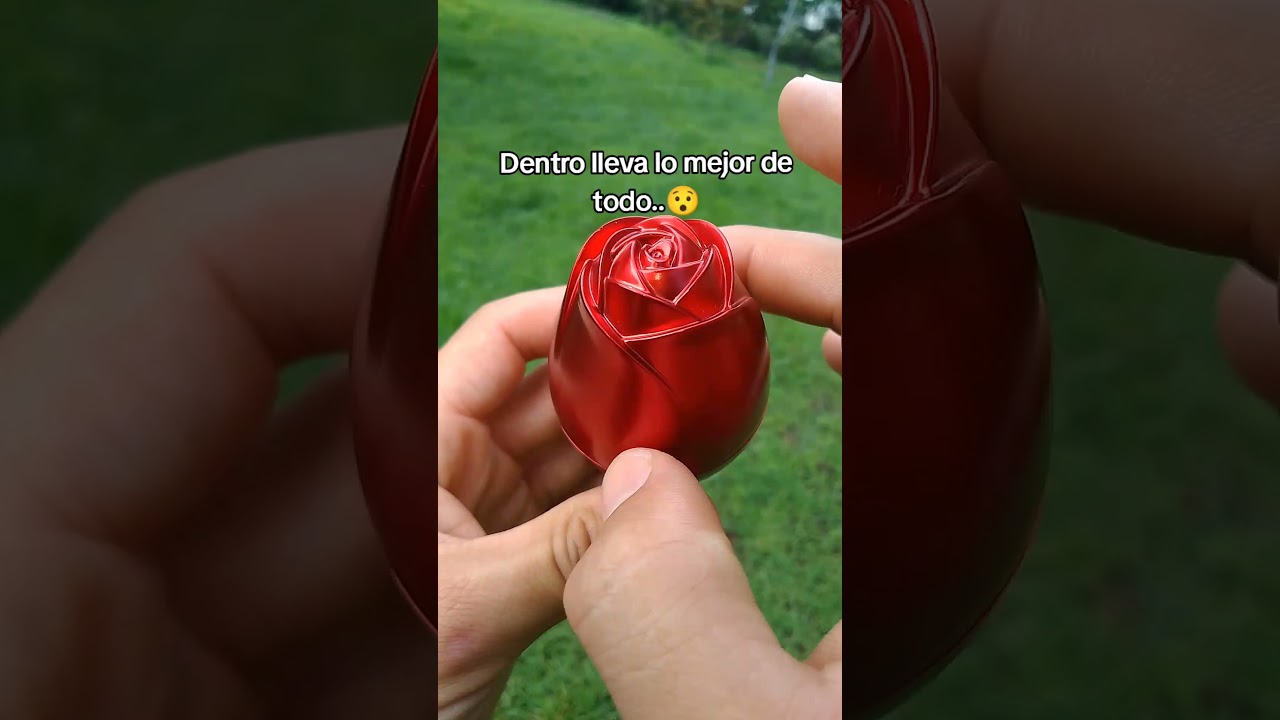 rosas para regalar a mi novia