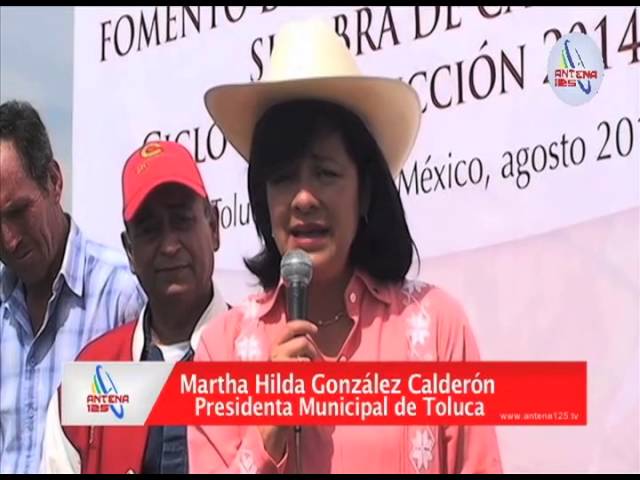 venta de carpas en toluca y metepec