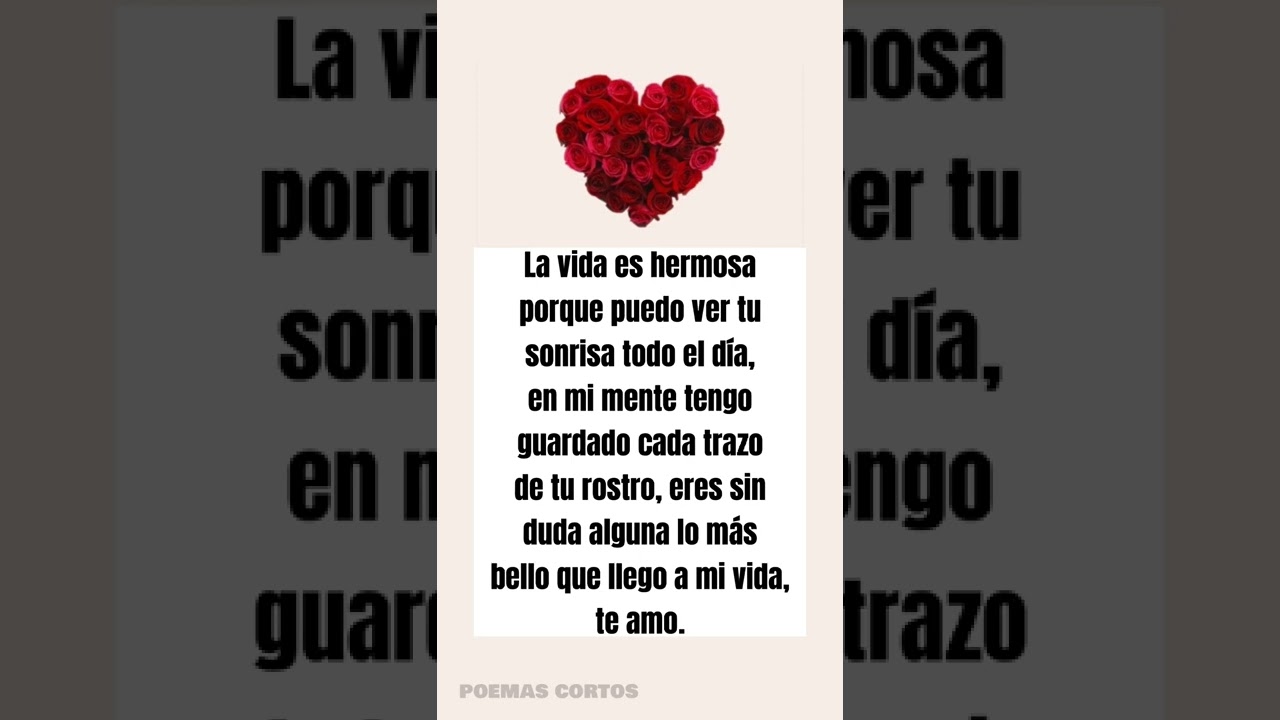 feliz día de la madre para mi novia carta