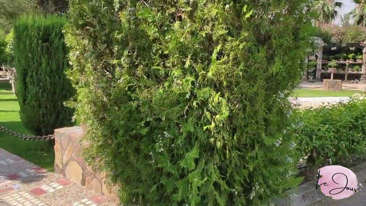 finca la noria espacios para eventos