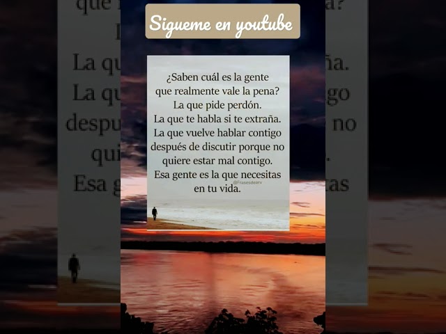 frases de disculpas a mi novio