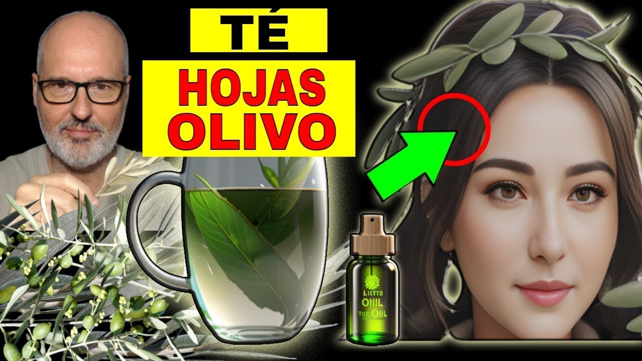 hoja de olivo para que sirve