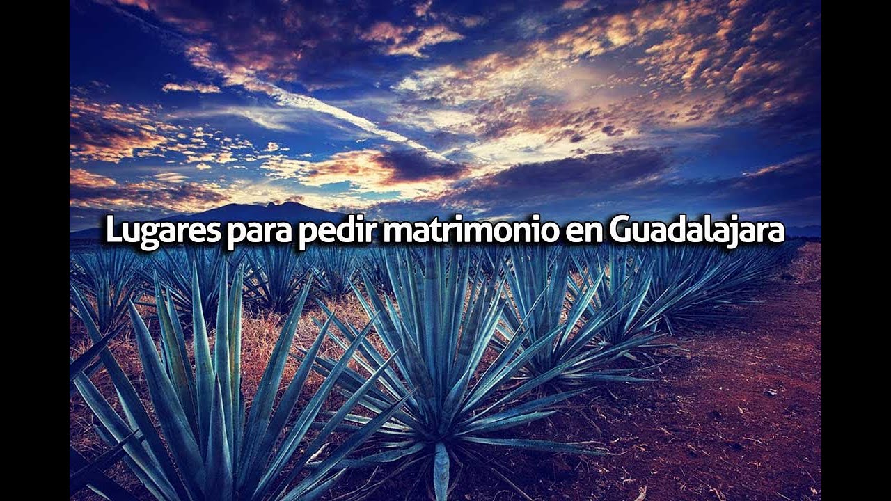 lugares para proponer matrimonio en guadalajara