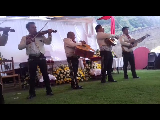 mariachis en tenancingo estado de mexico
