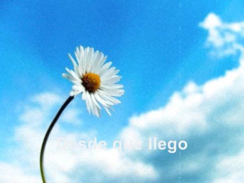 mi vida tiene seguro de fe letra