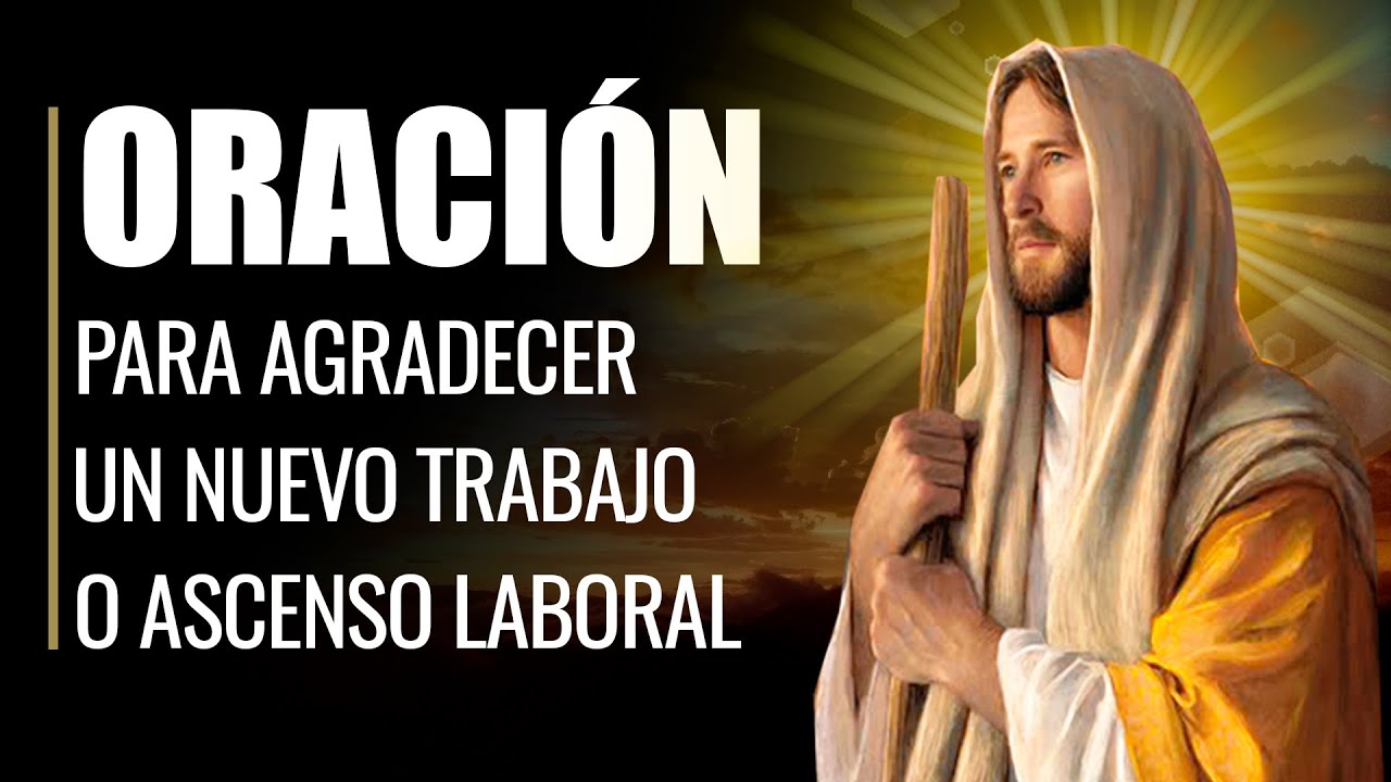 palabras de agradecimiento por la oportunidad de trabajo