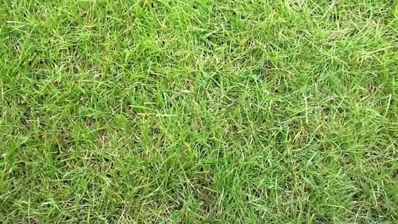 poema como siempre de mario benedetti