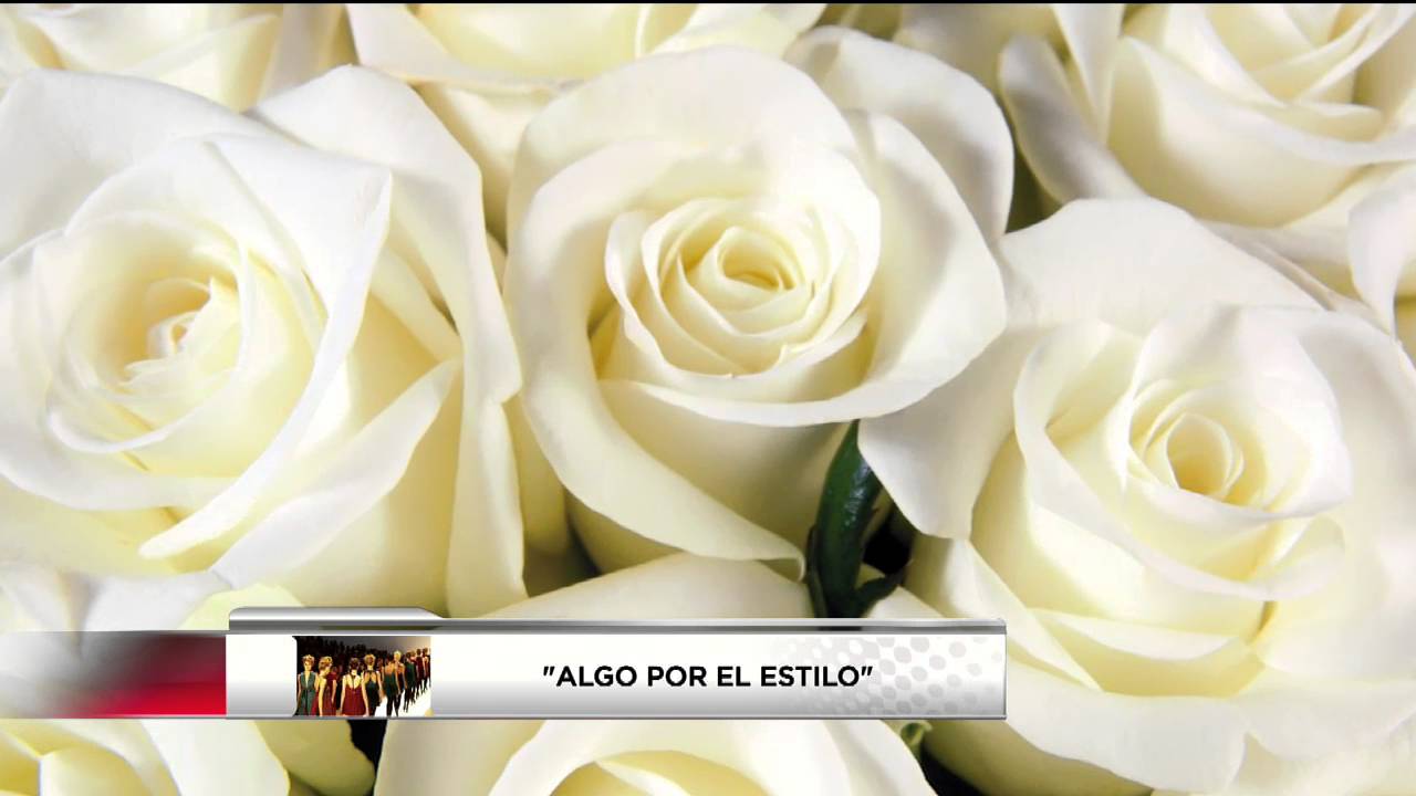 que tipo de flores le puedo regalar a mi novia