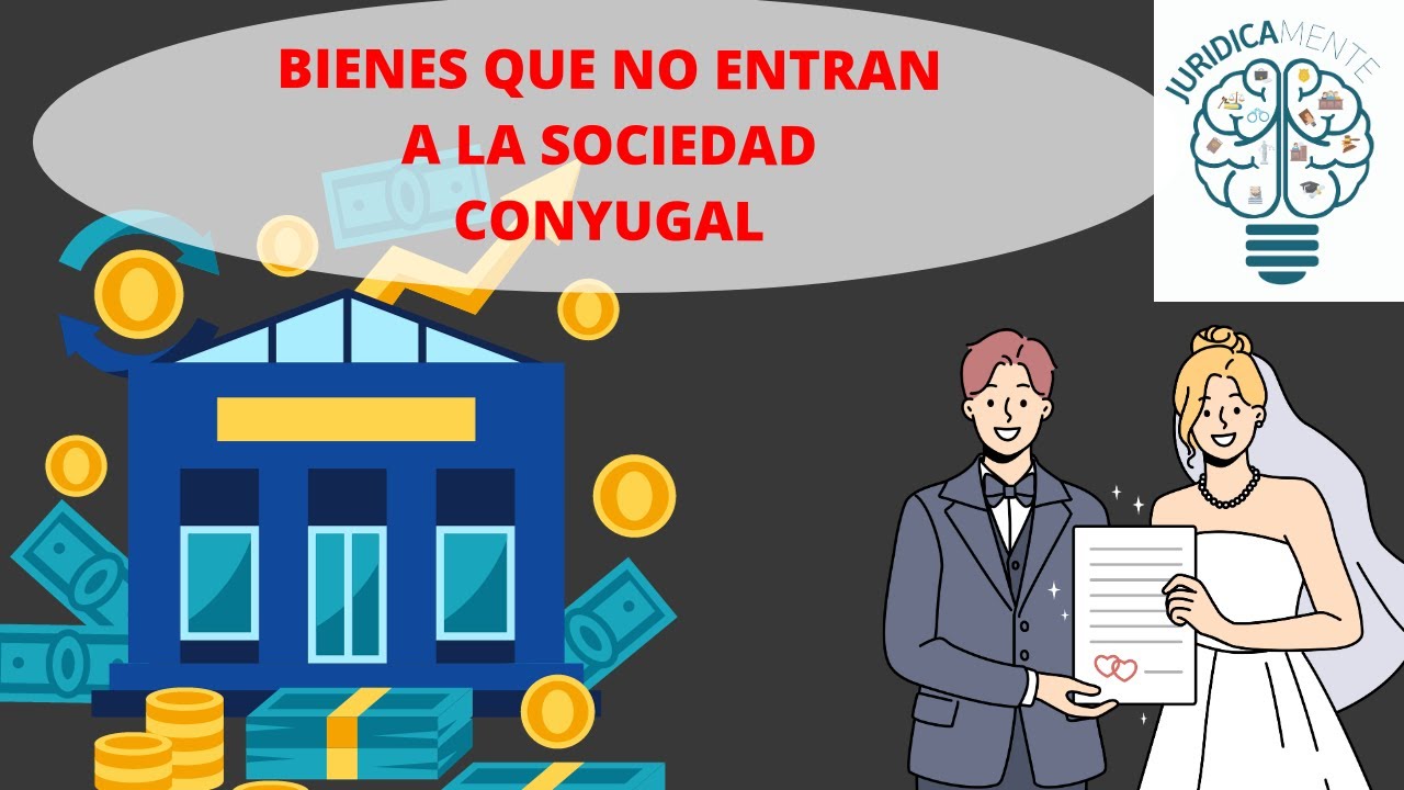 bienes que no hacen parte de la sociedad conyugal
