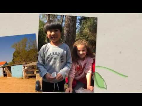 can pi de la serra rubi