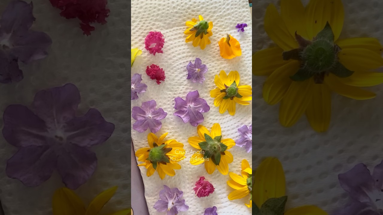 como conservar una flor para siempre