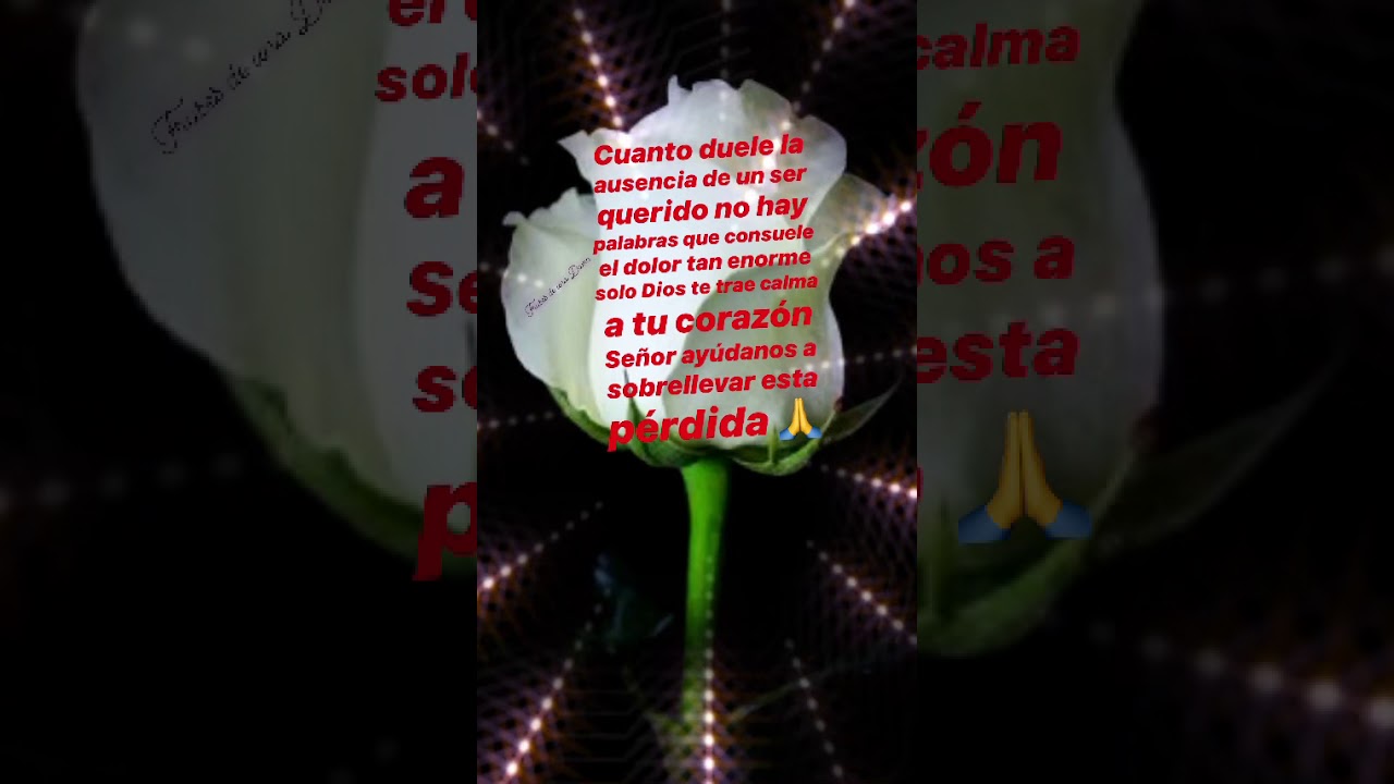 frases para dedicar a alguien que perdio un ser querido