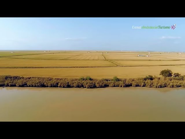 que ver en los palacios y villafranca